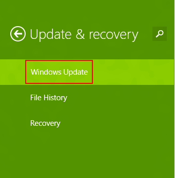 Windows 8.1 Update and Recovery, Windows Update